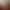 Crusader Kings III