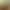 Farming Simulator 25