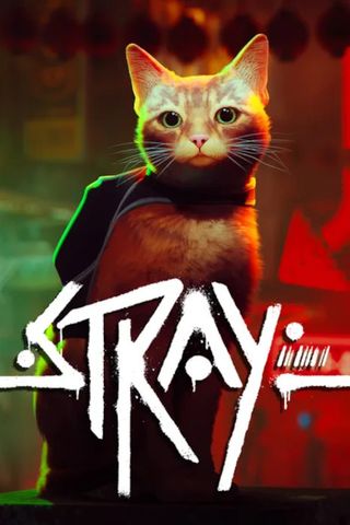 Stray